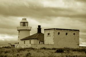 Seahouse and Farne Island